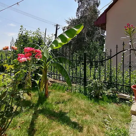 Mi Casa Vendeghaz -