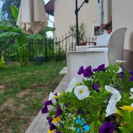 Mi Casa Vendeghaz - * Eger